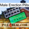 Male Erection Pills new04